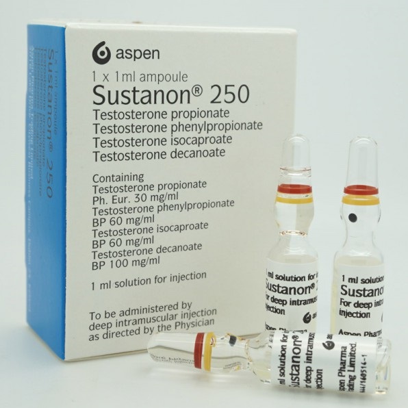 sustanon 250 (testosterone propionate + testosterone phenylpropionate)